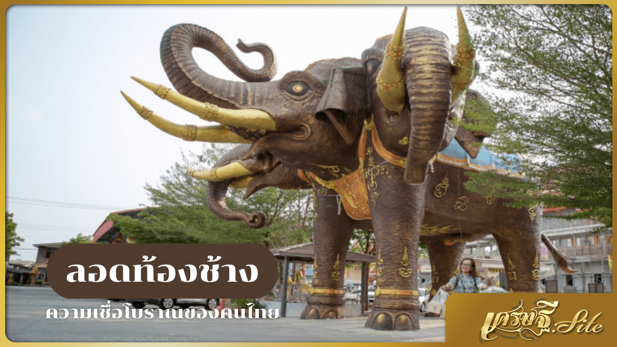 ลอดท้องช้าง