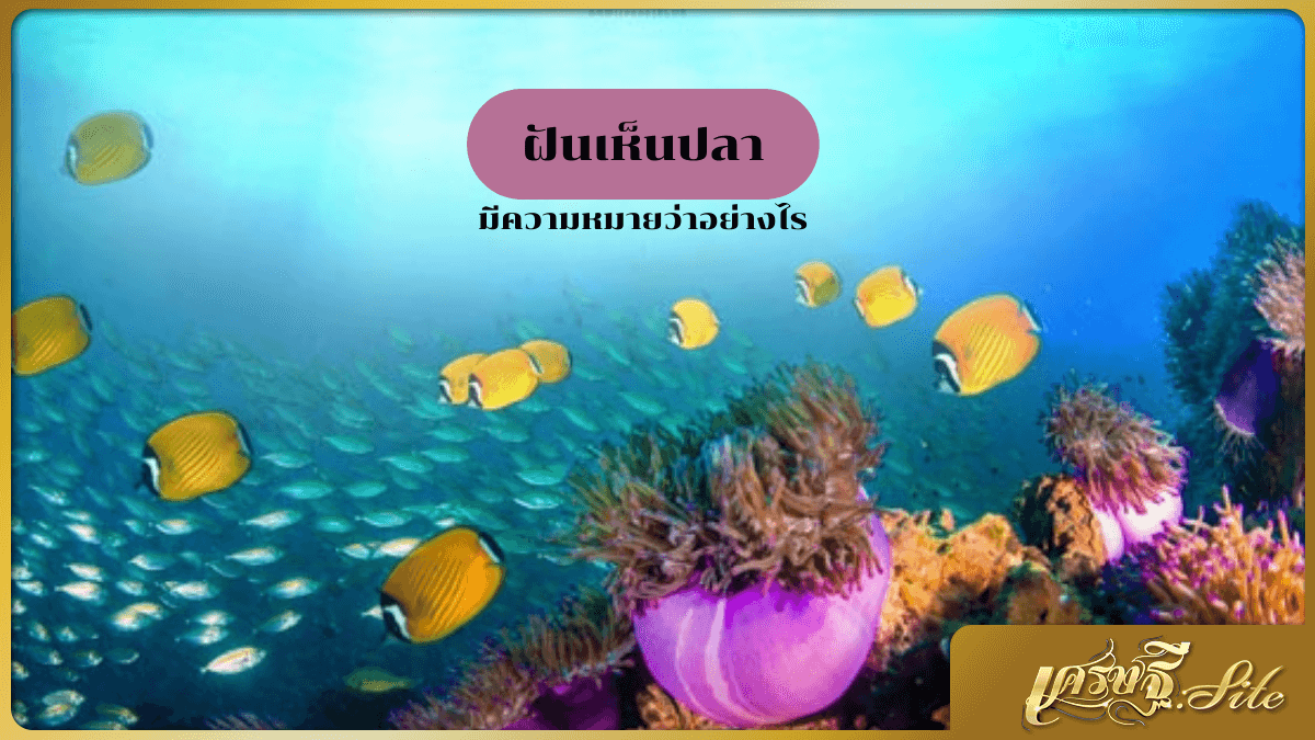 ฝันเห็นปลา