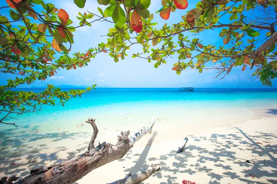 ชายหาดสวย