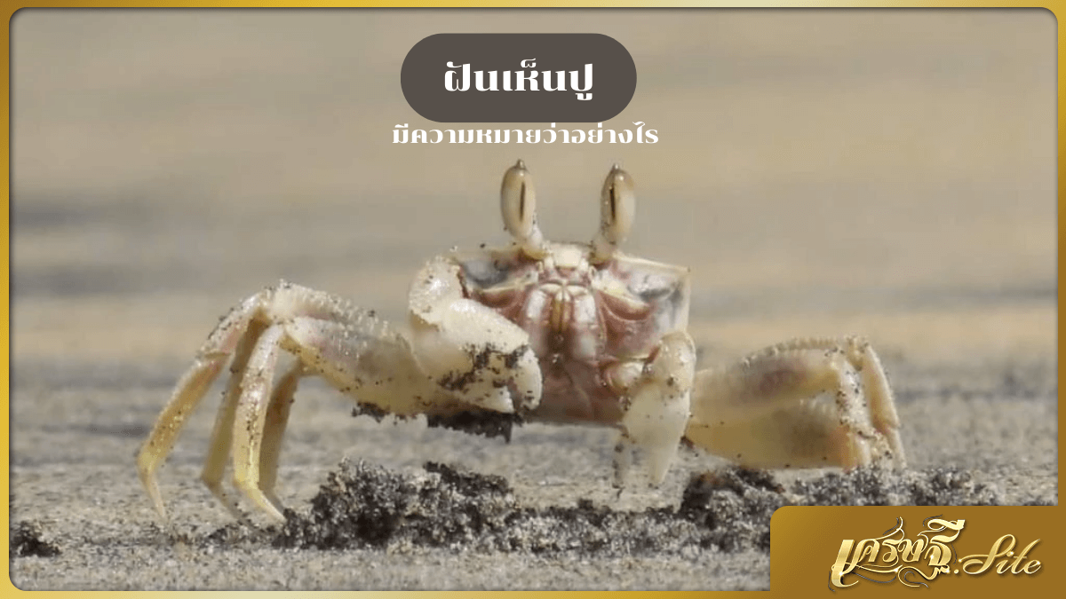 ฝันเห็นปู