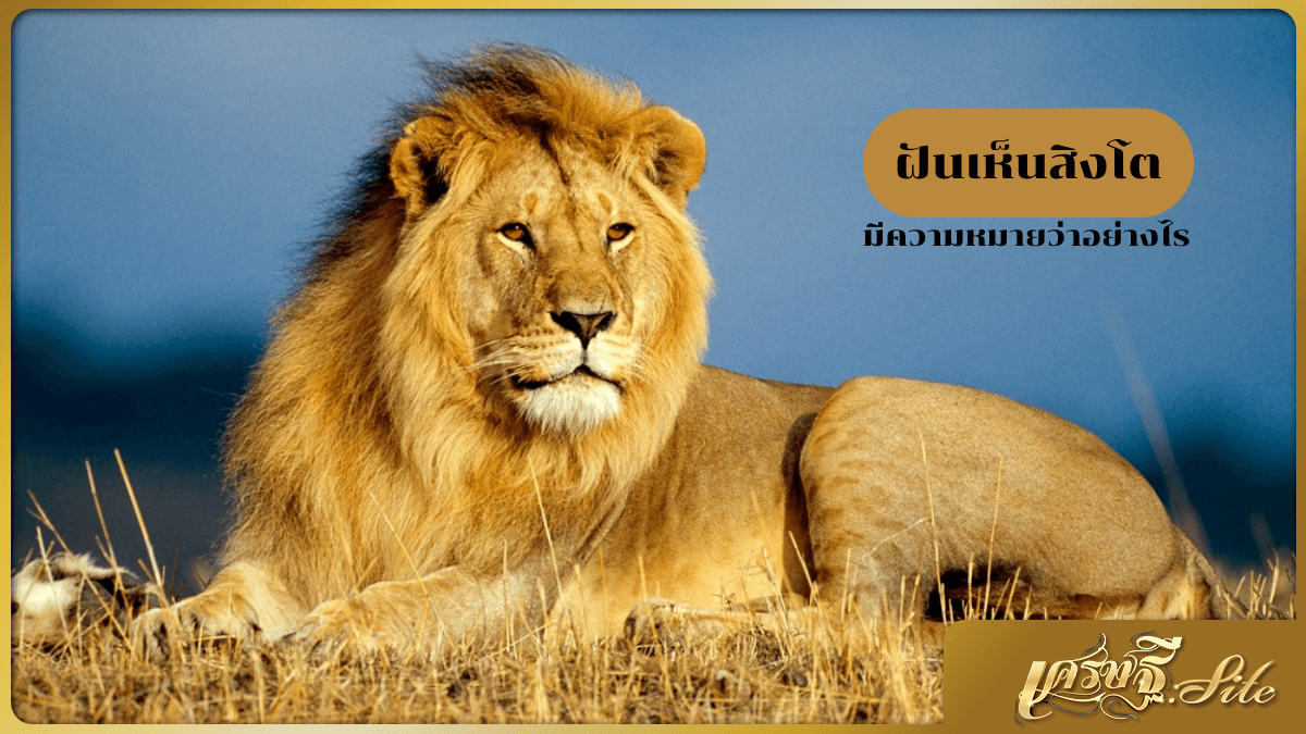 ฝันเห็นสิงโต