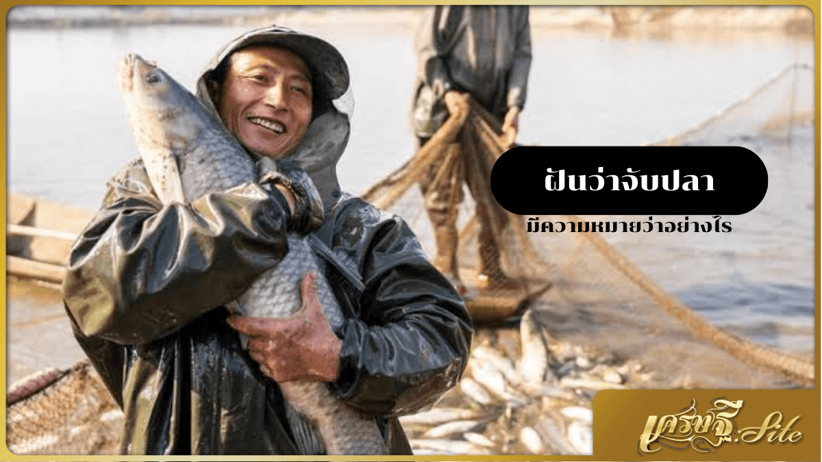 ฝันว่าจับปลา