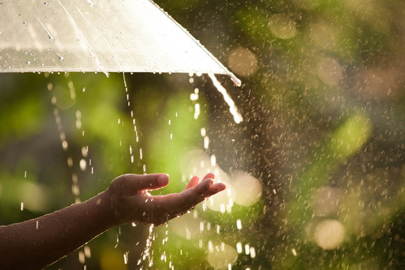 ฝนตกกางร่ม 