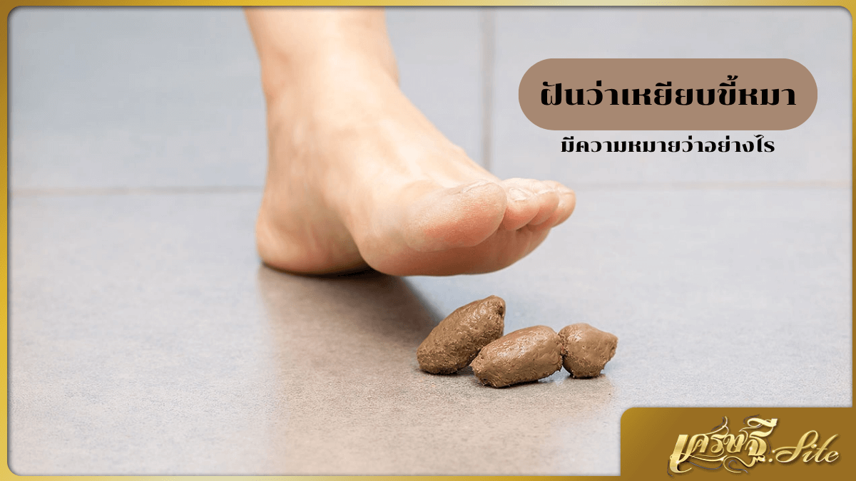 ฝันว่าเหยียบขี้หมา