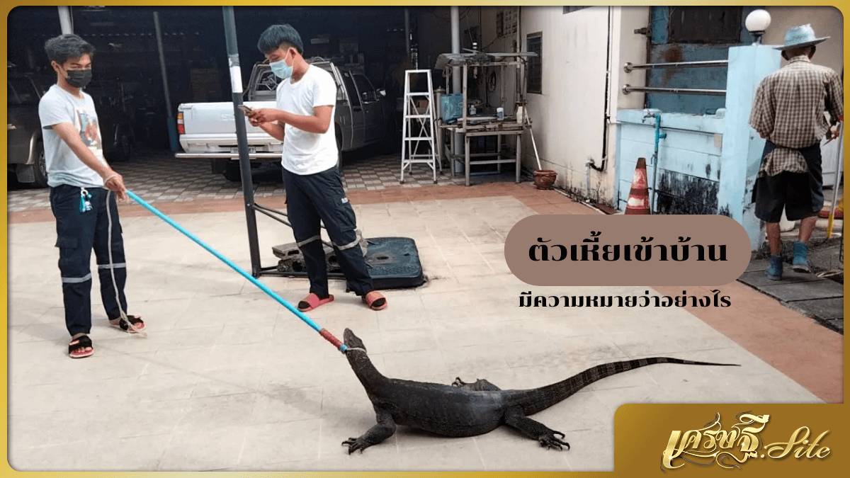 ตัวเหี้ยเข้าบ้าน