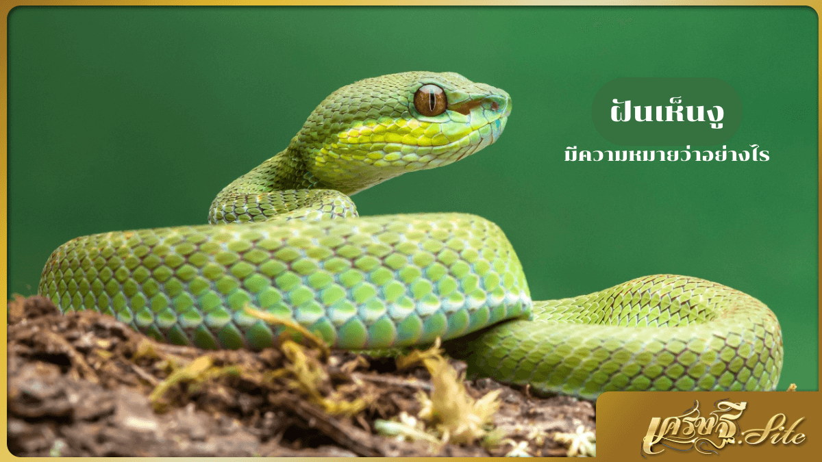 ฝันเห็นงู