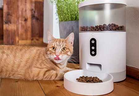 เครื่องให้อาหารแมว